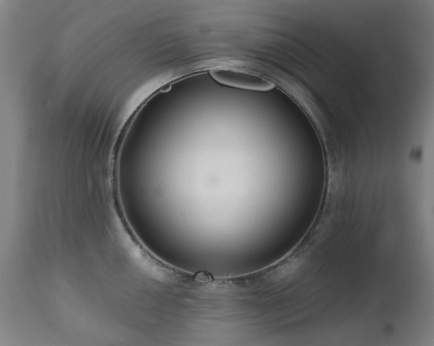 X0000112521050200908241440