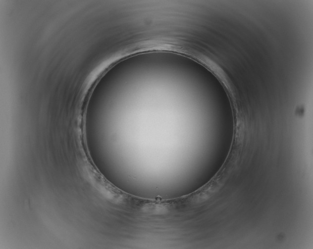 X0000112521051200908241440