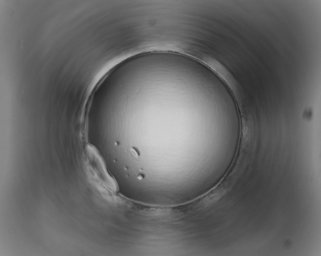 X0000112521052200908241440