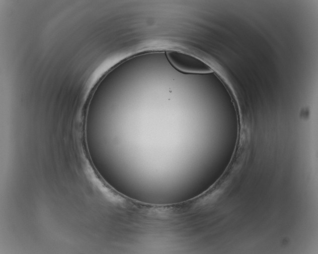 X0000112521053200908241440