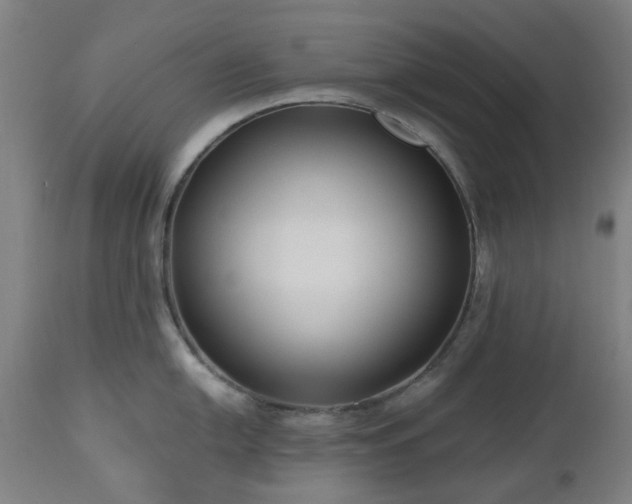 X0000112521054200908241440