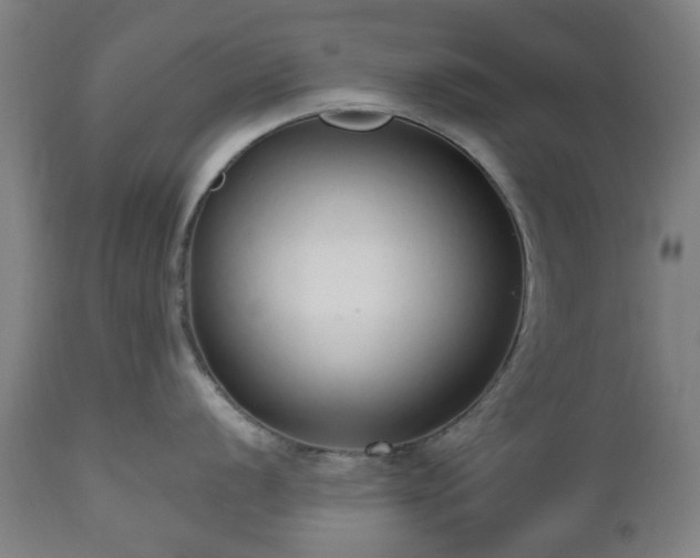 X0000112521056200908241440