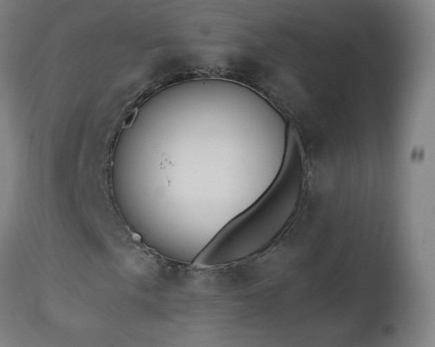 X0000112521057200908241439