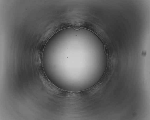 X0000112521058200908241439