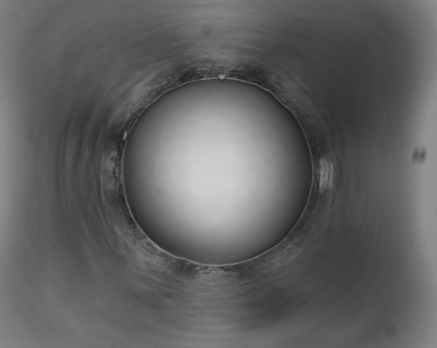 X0000112521059200908241439