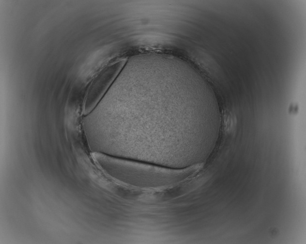X0000112521060200908241439