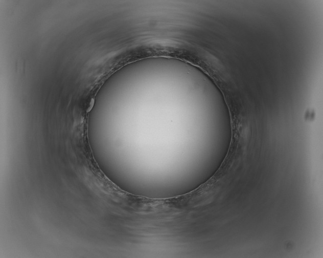 X0000112521061200908241439