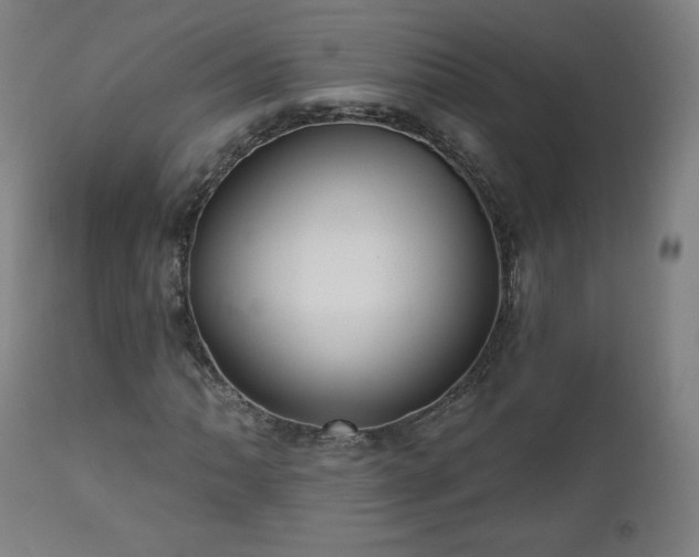 X0000112521062200908241439