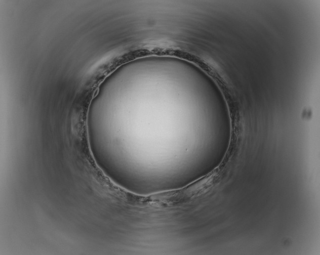X0000112521063200908241439