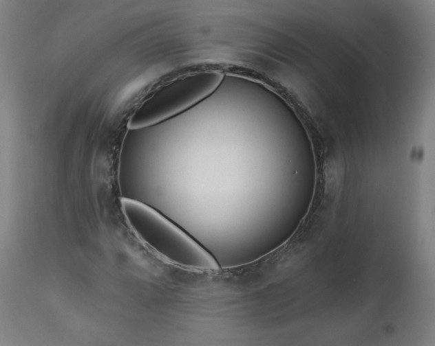 X0000112521064200908241439