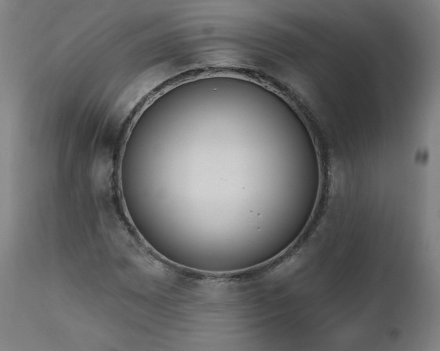 X0000112521065200908241439