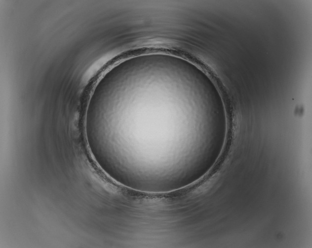 X0000112521066200908241439