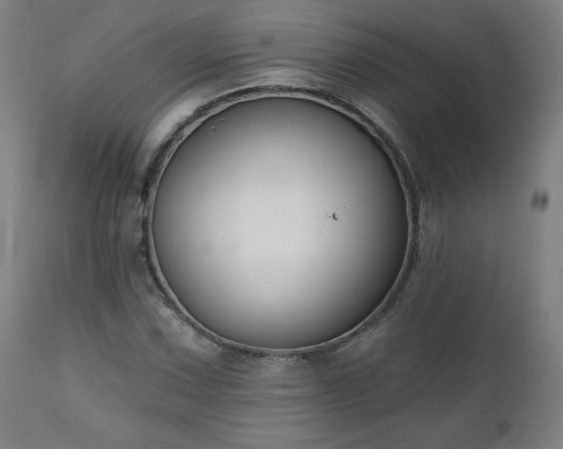 X0000112521067200908241439