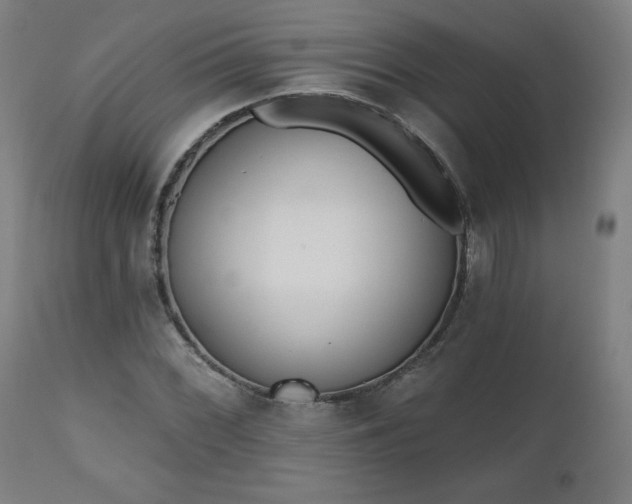 X0000112521068200908241439