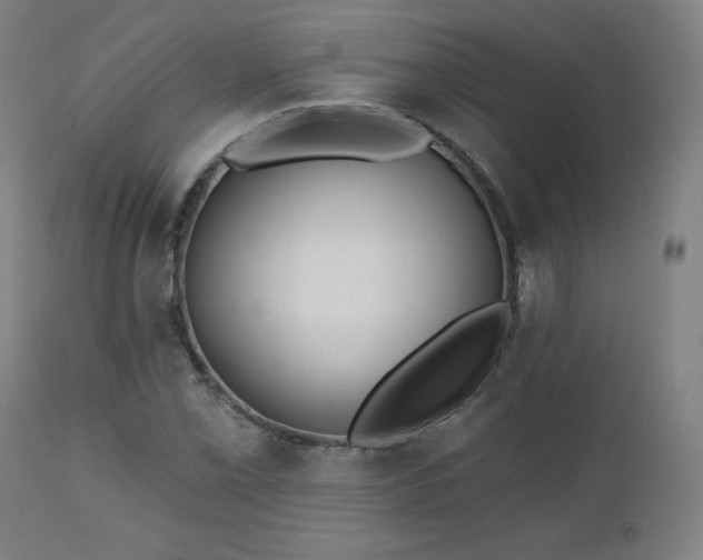 X0000112521069200908241439