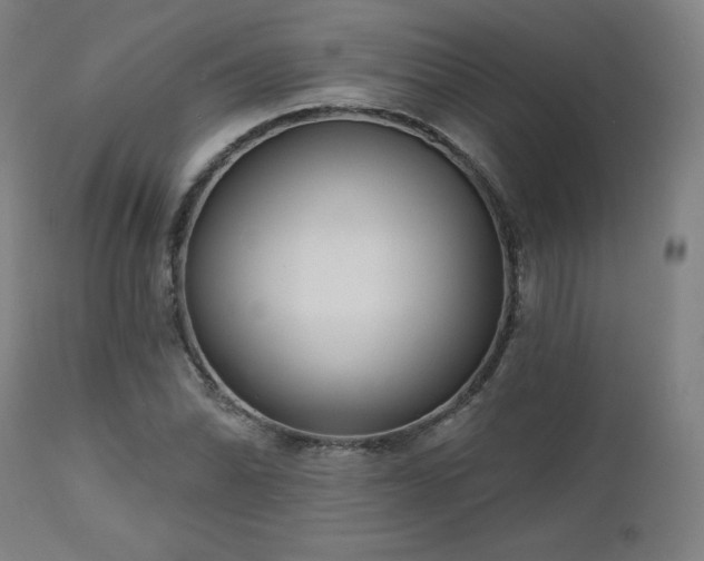 X0000112521070200908241439