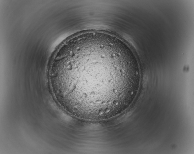 X0000112521071200908241439
