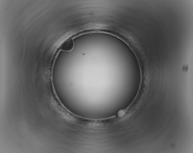X0000112521073200908241439