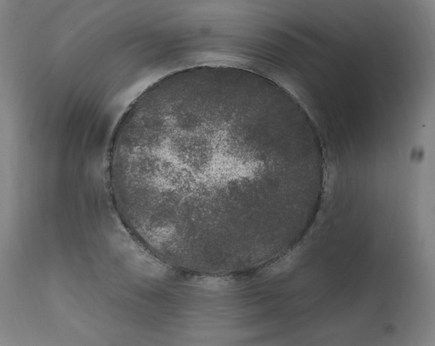 X0000112521074200908241439