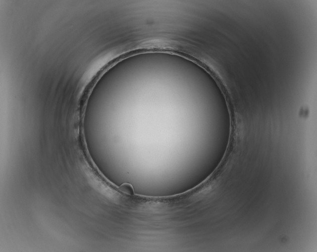X0000112521075200908241439