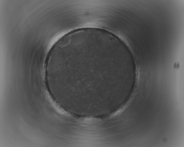 X0000112521077200908241439