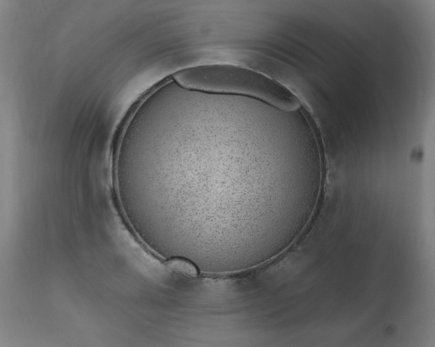 X0000112521080200908241439