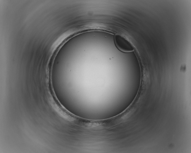 X0000112521082200908241439