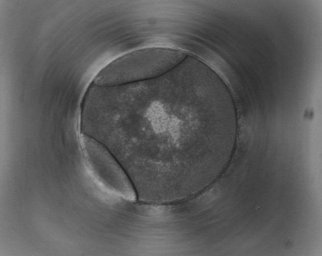 X0000112521084200908241438