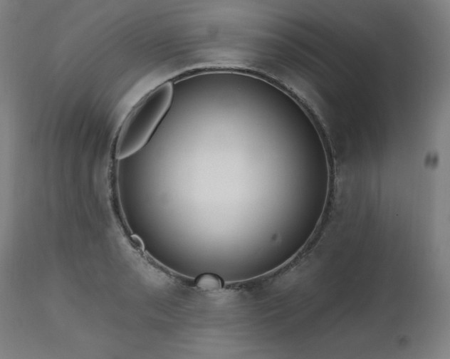 X0000112521085200908241438
