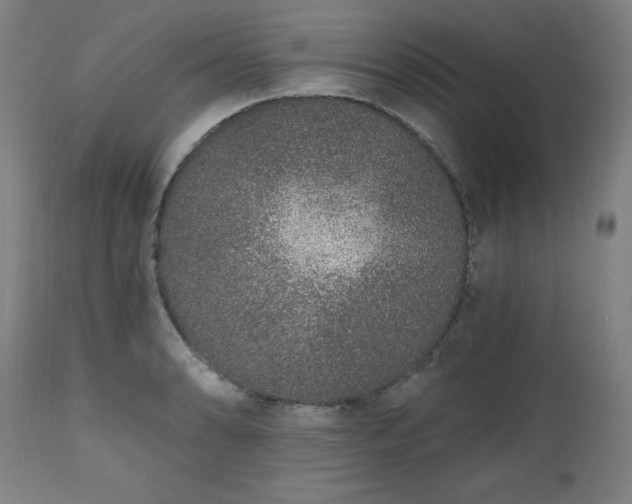 X0000112521086200908241438