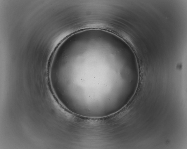 X0000112521087200908241438