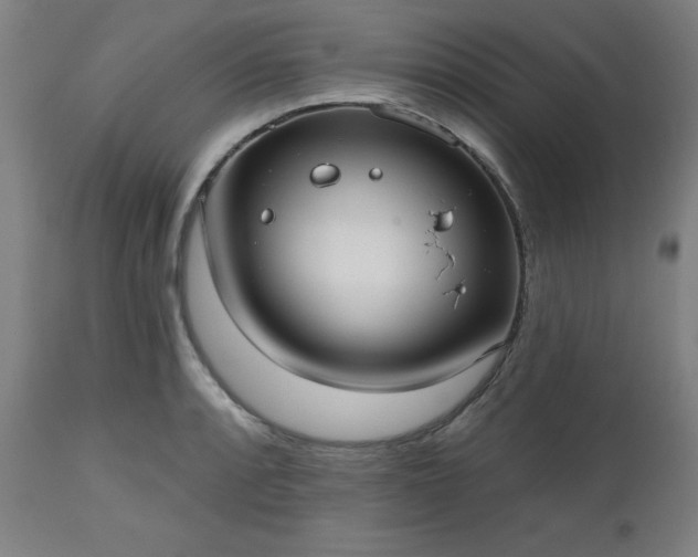 X0000112521088200908241438