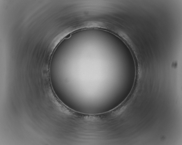 X0000112521089200908241438