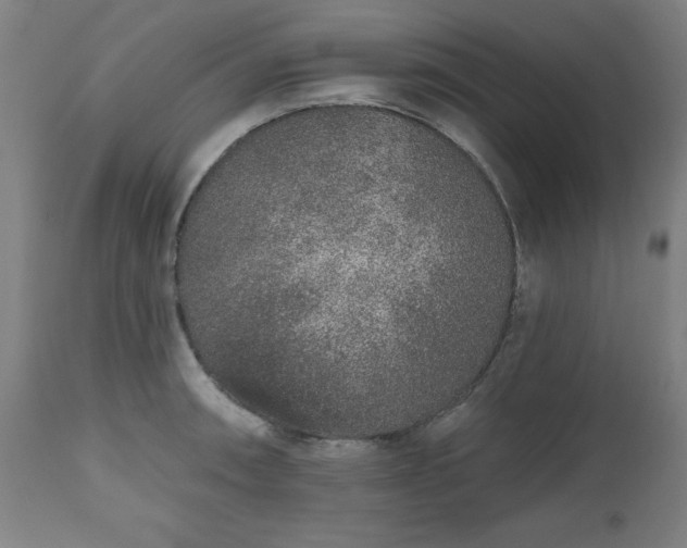 X0000112521090200908241438