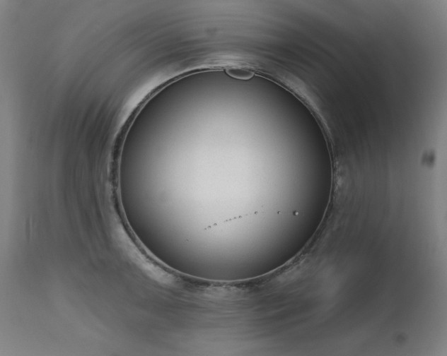 X0000112521091200908241438