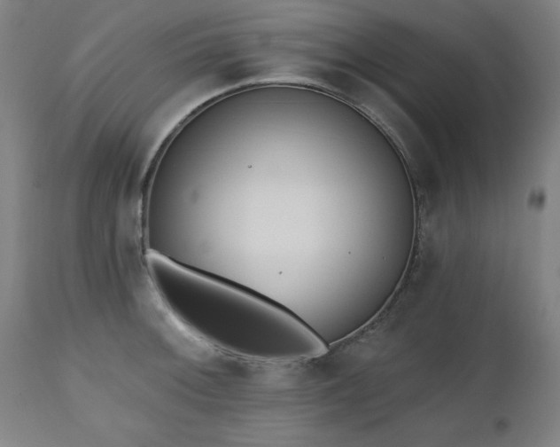X0000112521092200908241438