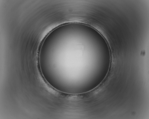 X0000112521093200908241438
