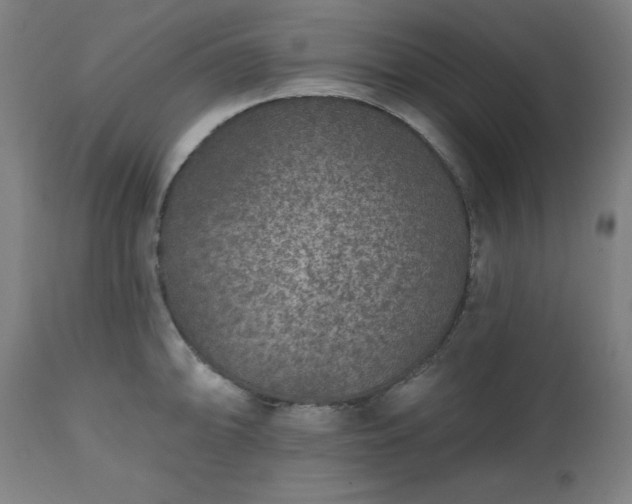 X0000112521094200908241438