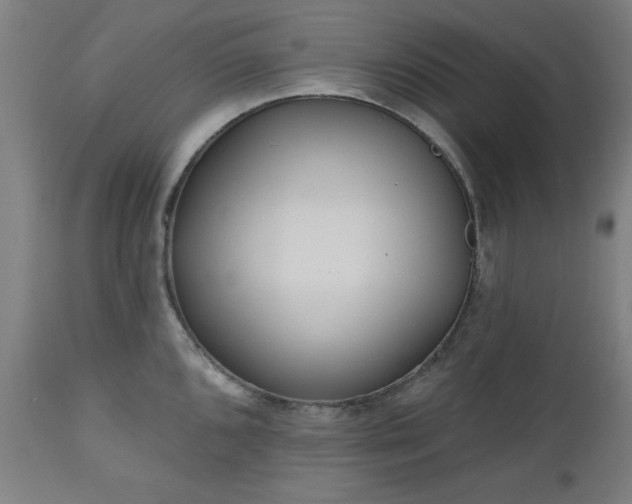 X0000112521096200908241438