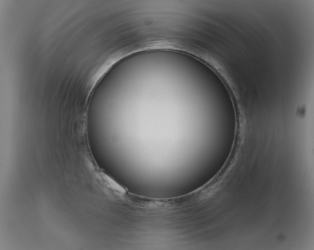 X0000112521097200908241438