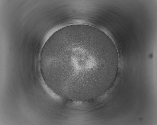 X0000112521098200908241438