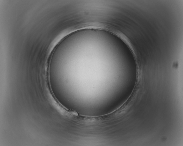 X0000112521099200908241438
