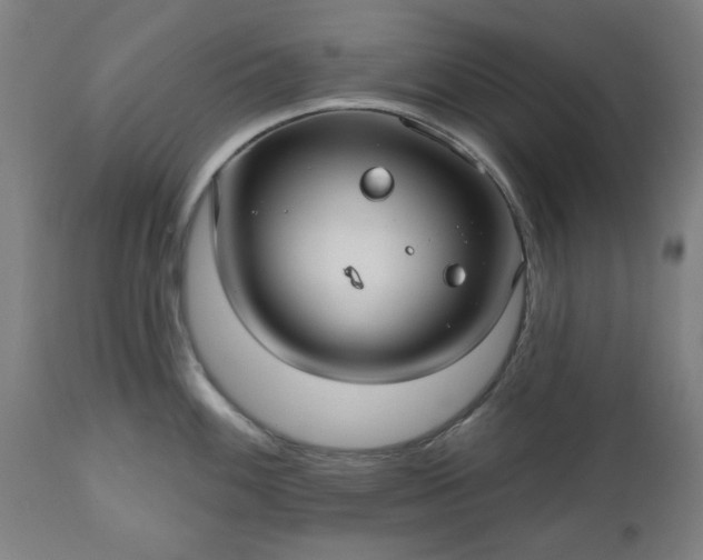 X0000112521100200908241438