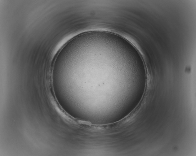 X0000112521101200908241438