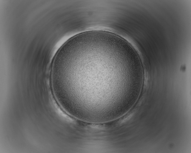 X0000112521102200908241438