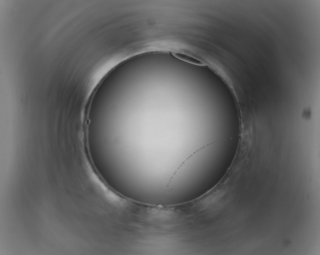 X0000112521103200908241438