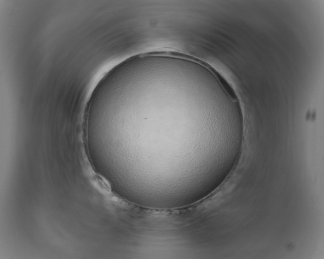 X0000112521104200908241438