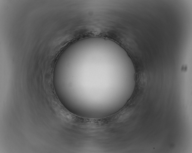 X0000112521105200908241437