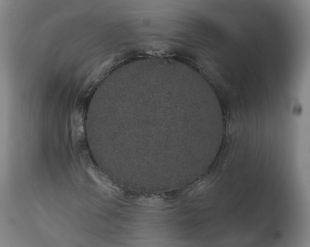 X0000112521106200908241437
