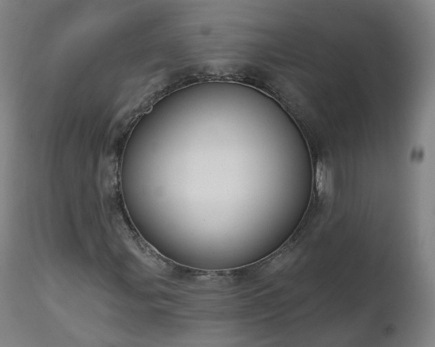X0000112521107200908241437
